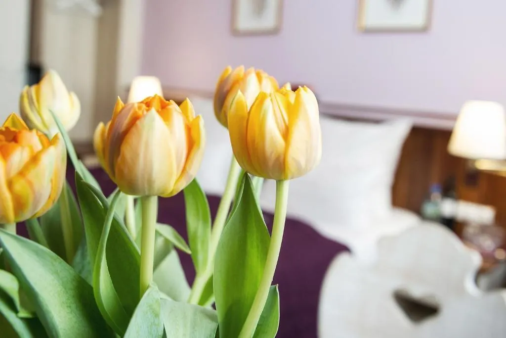 Hotel Elch Nuremberg 3*,